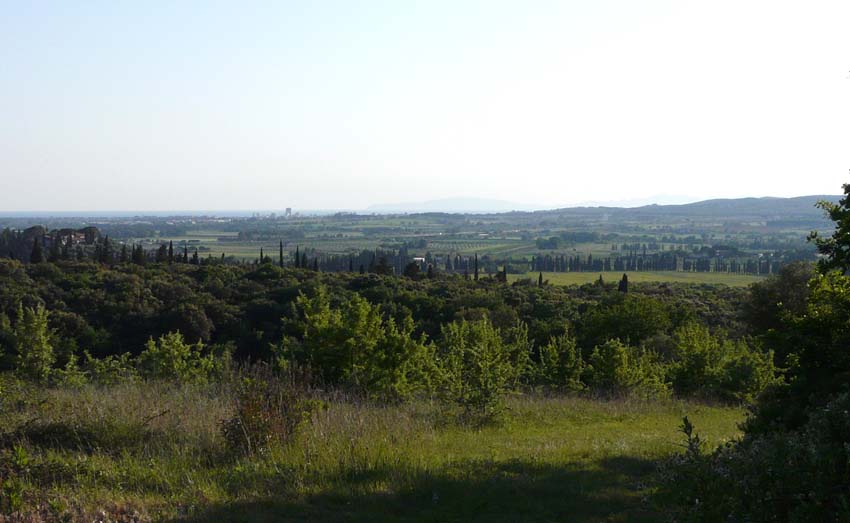 In un podere vicino Massa Marittima (GR)